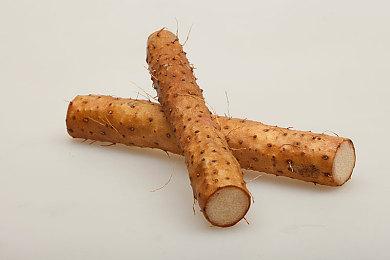 《艾诺提亚：失落之歌》预定于2024年8月22日发售！